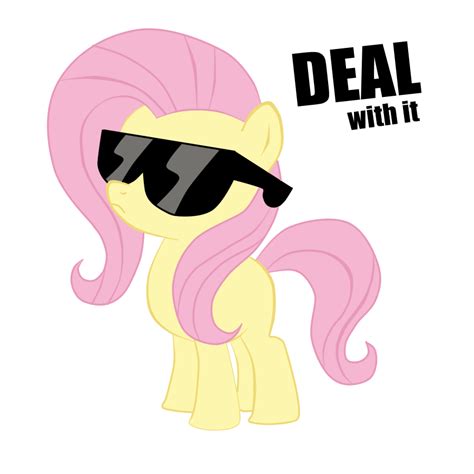 fluttershy deal with it